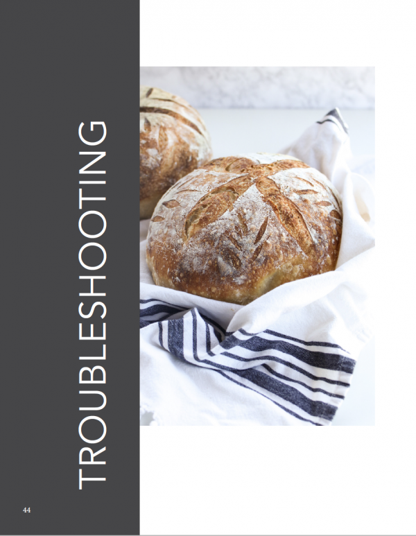 Classic Sourdough