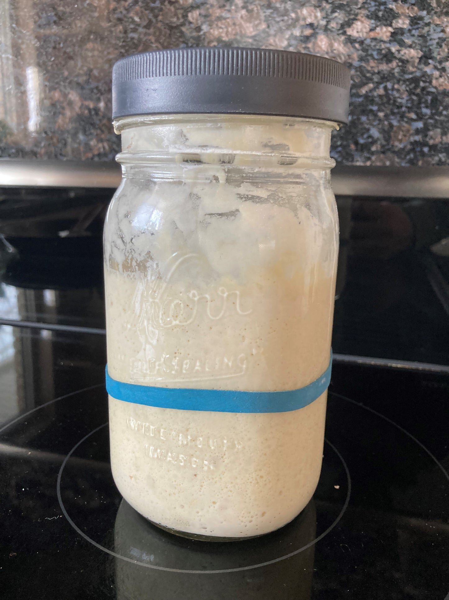"Bobbie Jo" Sourdough Starter