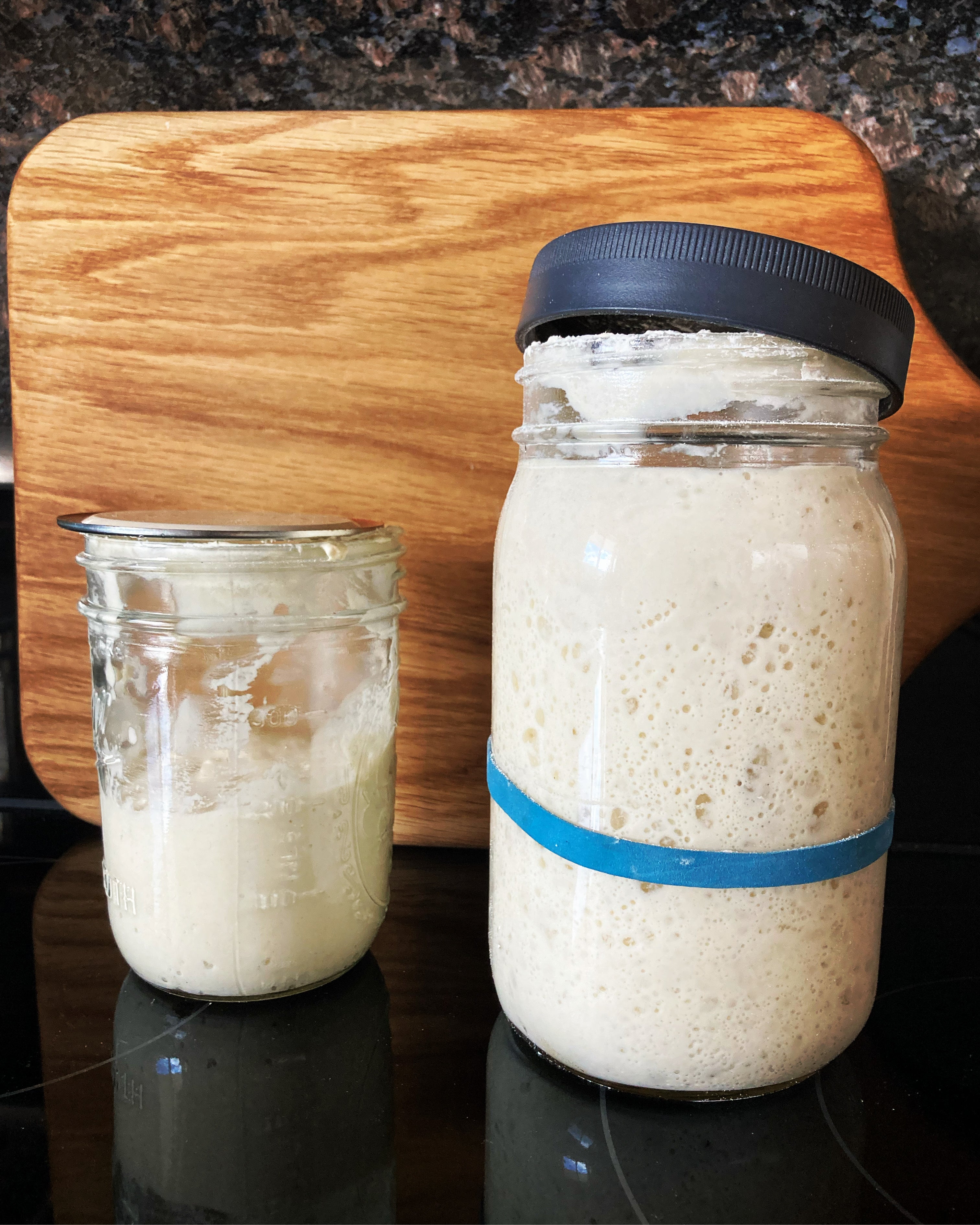 Sourdough Starter baking bread